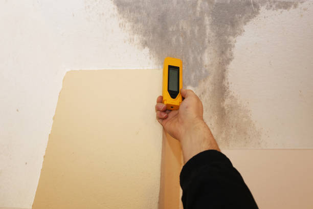 Best Dehumidification Services  in Marysville, PA