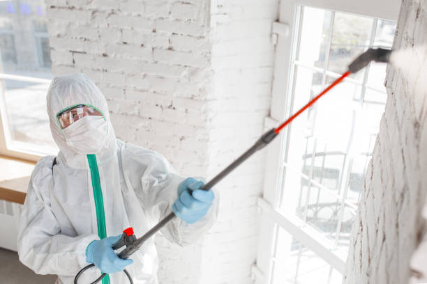 Best Mold Removal for HVAC Installations  in Marysville, PA