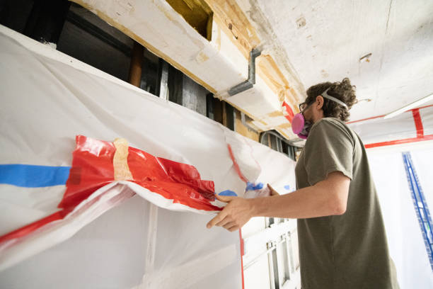 Best Mold Damage Restoration  in Marysville, PA