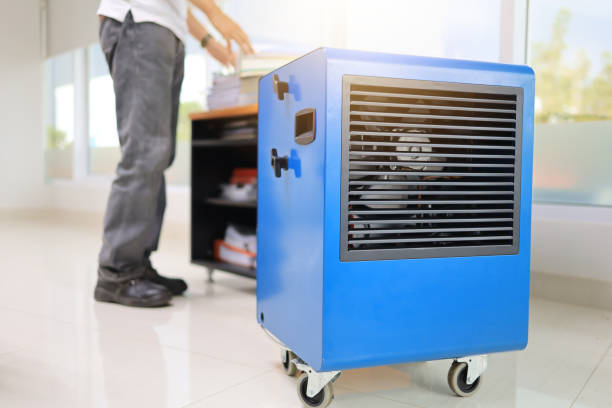 Best Mold Prevention Services  in Marysville, PA